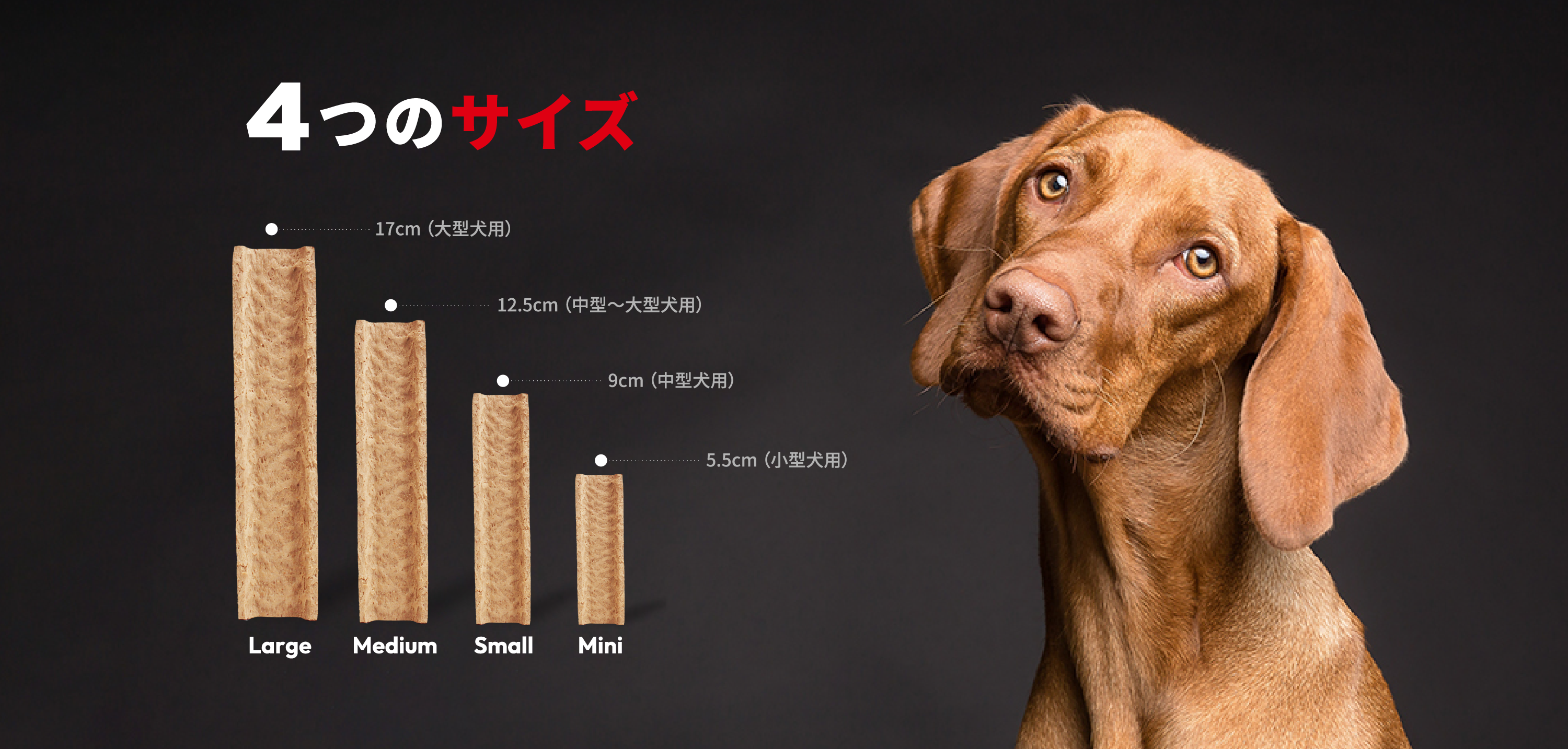 4つのサイズ
